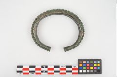 Foto von Bronzearmreif (NHMW-PRAE-025428)